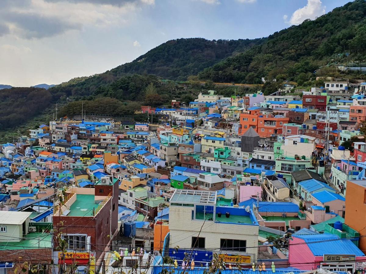 엘리펀트 게스트하우스 부산광역시